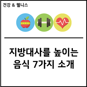 지방대사를 높이는 음식 7가지 소개