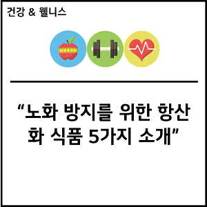 노화 방지를 위한 항산화 식품 5가지 소개