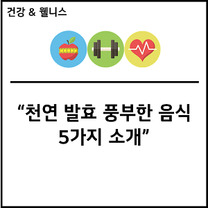천연 발효 풍부한 음식 5가지 소개