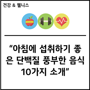 아침에 섭취하기 좋은 단백질 풍부한 음식 10가지 소개