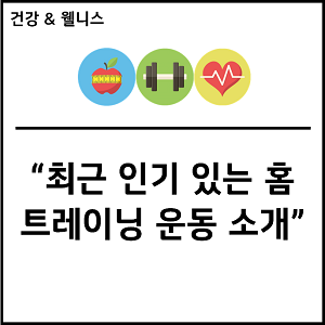 최근 인기 있는 홈 트레이닝 운동 소개