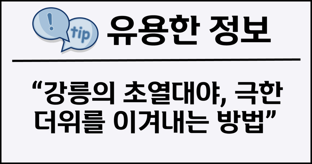 강릉의 초열대야, 극한 더위를 이겨내는 방법